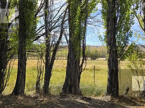 Campo productivo - precordillera Chubut -100% aguas naturales - 10.000 lanares esquila