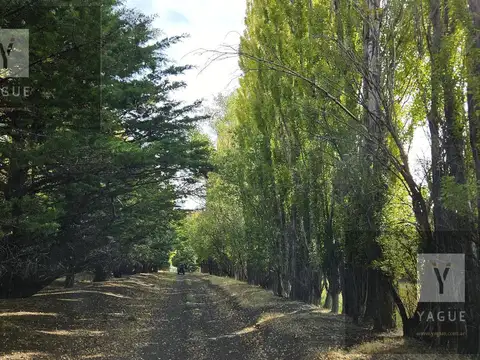 Campo productivo - precordillera Chubut -100% aguas naturales - 10.000 lanares esquila