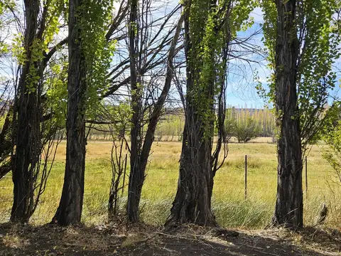 Campo productivo - precordillera Chubut -100% aguas naturales - 10.000 lanares esquila