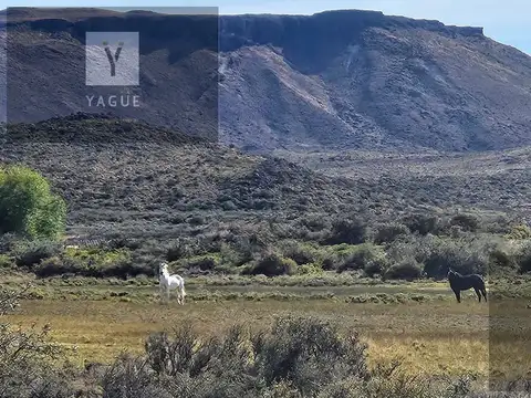 Campo productivo