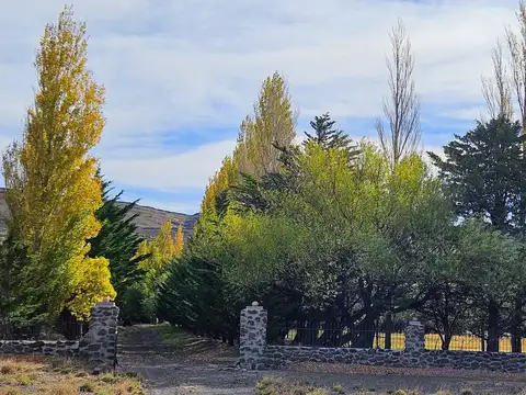 Campo productivo