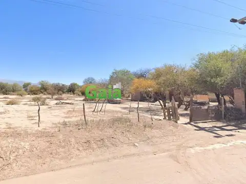 Ruta 40 - San Carlos