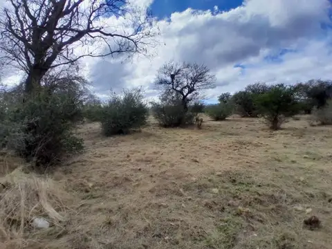 Terreno en Venta en Arroyo de los Patos, USD 17.000