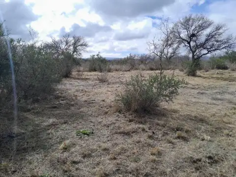 Terreno en Venta 15,74  mts Frente