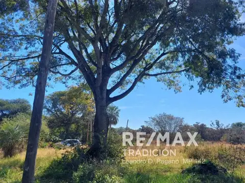 TERRENO EN VENTA  EN COLONIA BENITEZ