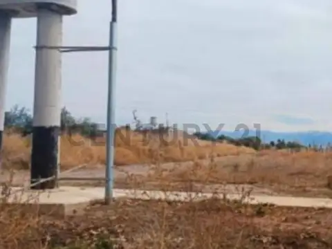 Milagros s/n a 700mts de carril Godoy Cruz