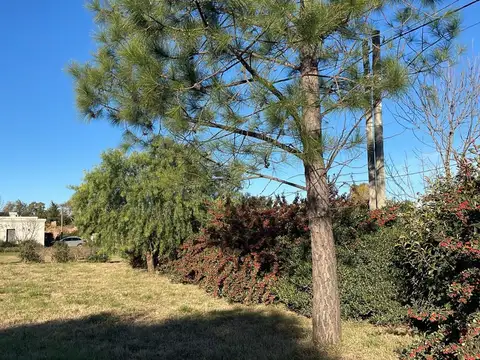 Terreno en Venta de 2321,0 m2