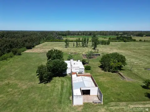 CAMPO EN PILAR 100