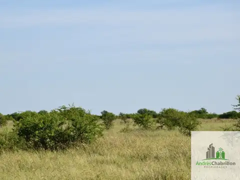 Campo en alquiler de 1500ha ubicado en Federal
