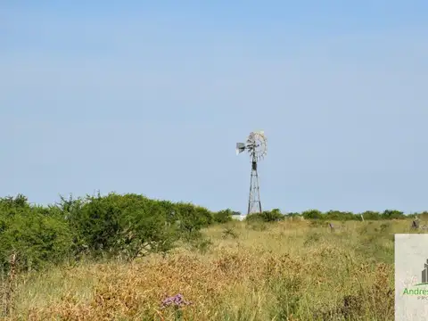 Ruta Provincial 22 km 80, Chañar , Federal, Entre Ríos, 100