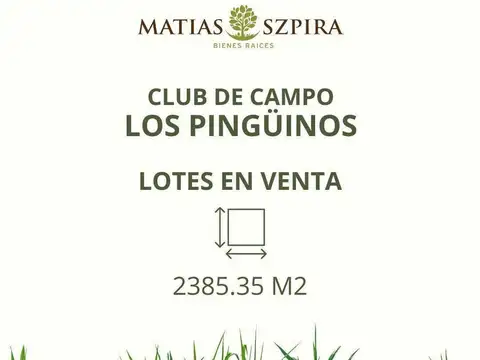 Lote . | Av. Presidente Peron 10.298