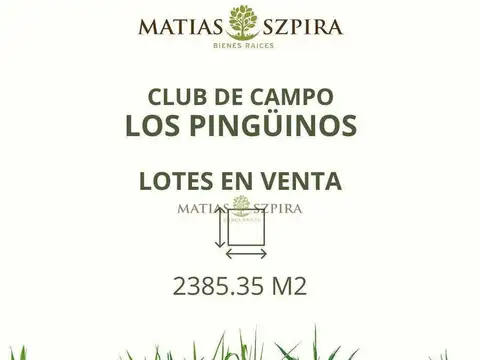 Lote . | Av. Presidente Peron 10.298