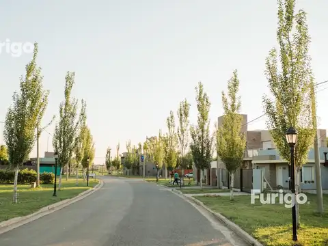 Terreno Soldini Los Viñedos barrio abierto