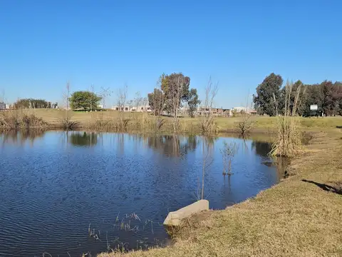 Terreno en Venta 20  mts Frente