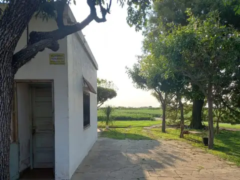 Ruta Nacional 11 300