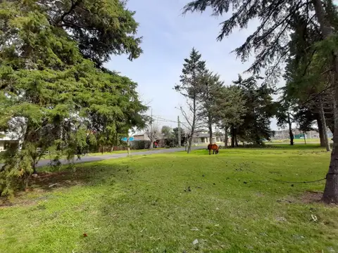 Terreno en Venta 32  mts Fondo