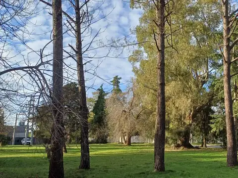 Lote. 487 entre 137 y 138. Escritura. Quintas de Marquez