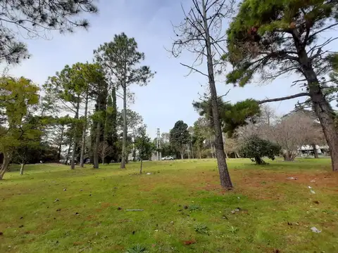 Lote. 487 entre 137 y 138. Escritura. Quintas de Marquez