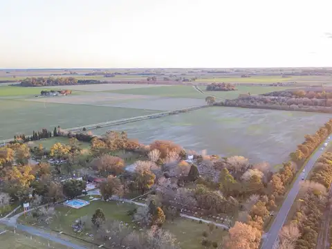 Campo en venta sobre ruta 33 en Zavalla