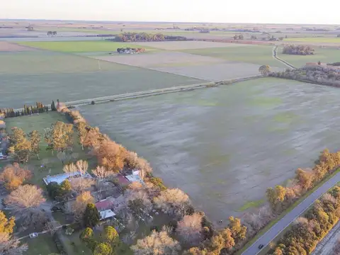 Campo en venta sobre ruta 33 en Zavalla