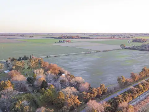 Campo en venta sobre ruta 33 en Zavalla