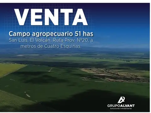 VENTA Campo agropecuario 51hs. Ruta Prov.Nº20