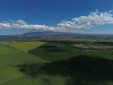 Ruta provincial 20