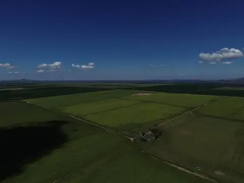 VENTA Campo agropecuario 51hs. Ruta Prov.Nº20
