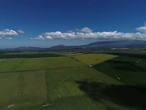 VENTA Campo agropecuario 51hs. Ruta Prov.Nº20