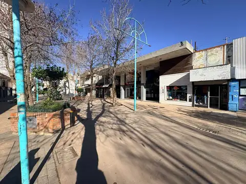 Venta Local galeria comercial