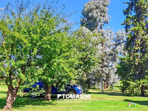 CAMPO AGRICOLA EN VENTA - 12 HECTAREAS EN NECOCHEA