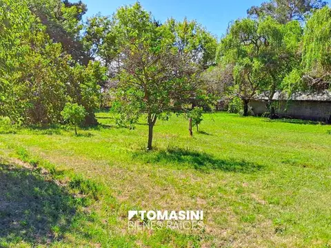 CAMPO AGRICOLA EN VENTA - 12 HECTAREAS EN NECOCHEA