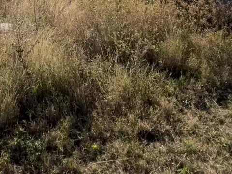 LOTE EN BARRIO AIRES DE SAN BENITO, RUTA 3, SAN LUIS