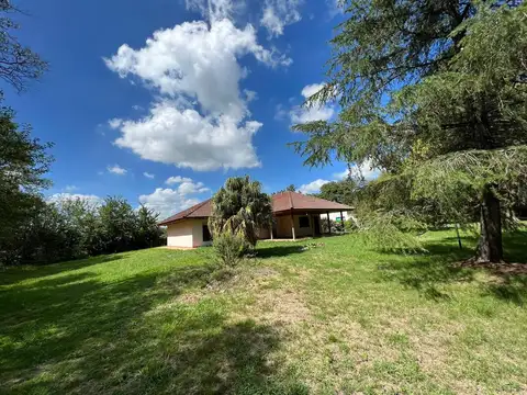 Antantida Argentina Y Calle 54