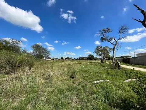 Antantida Argentina Y Calle 54