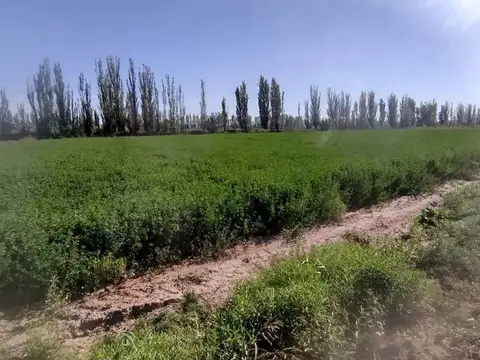VENTA FINCA 6 ha-EL PASTAL LAVALLE