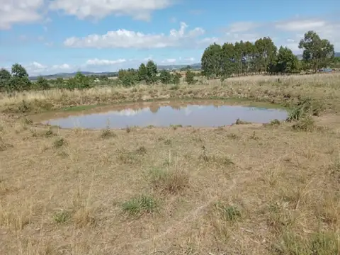 Paso Dutra, Ruta 39