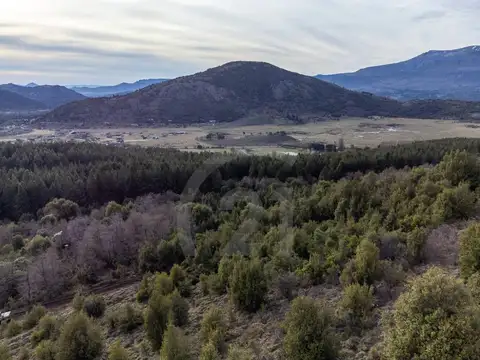 PASEO DE LOS MUSICOS , Piso 0