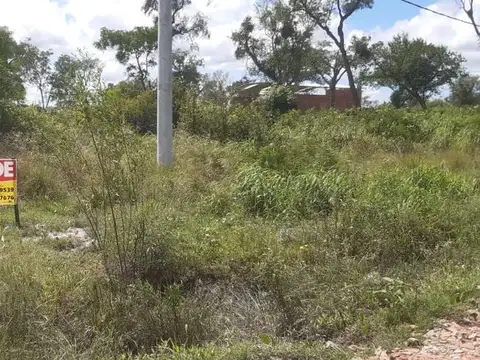 Juan Manuel de Rosas