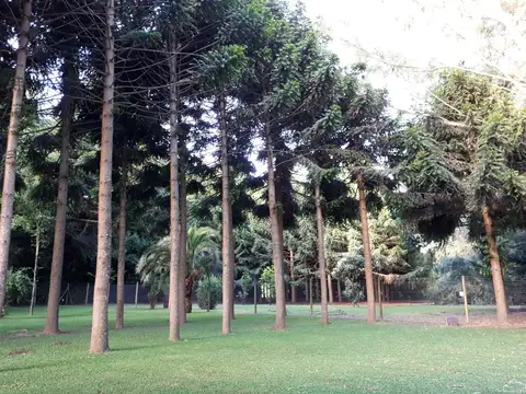 Fraccion en Venta en Villa Elvira [Cod: 7253-290]