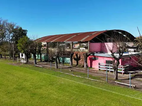 Jacaranda 200