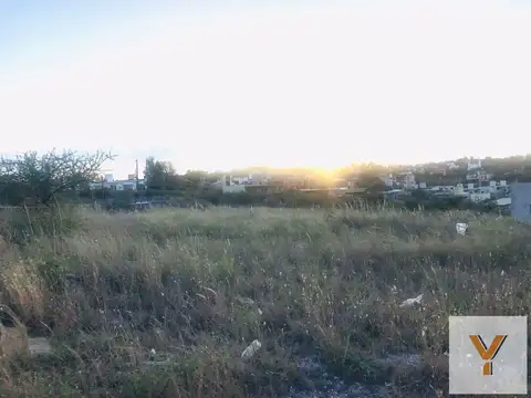 Camino Tanti