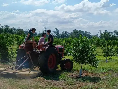 Campo en Venta de 12  ha