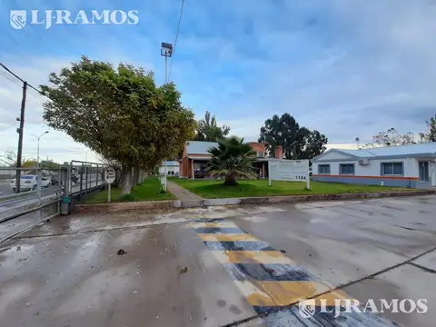 Av Catriel al 1300