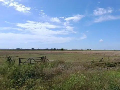 Campo en Venta de 17  ha