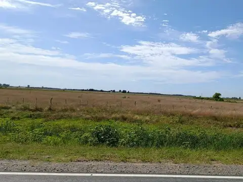 VENTA  DE CAMPO SOBRE RUTA 215