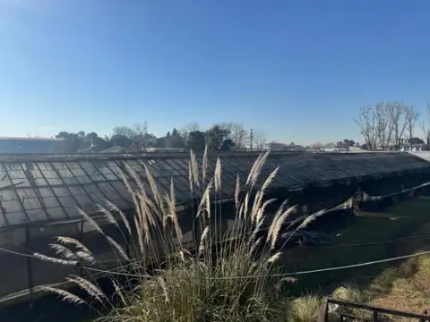 Terreno en Venta en Cuartel V, USD 600.000