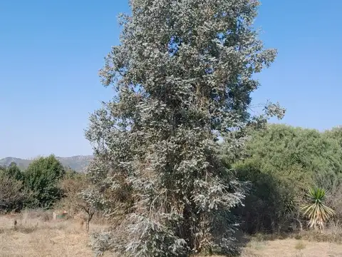 Terreno en Venta en Nueva Cordoba, USD 27.000