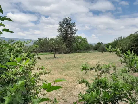 Terreno en venta Potrero de Garay, paraje Los Espinillos