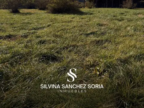 TERRENO EN VENTA, BARRIO LAS LOMADAS, LOS CARDALES